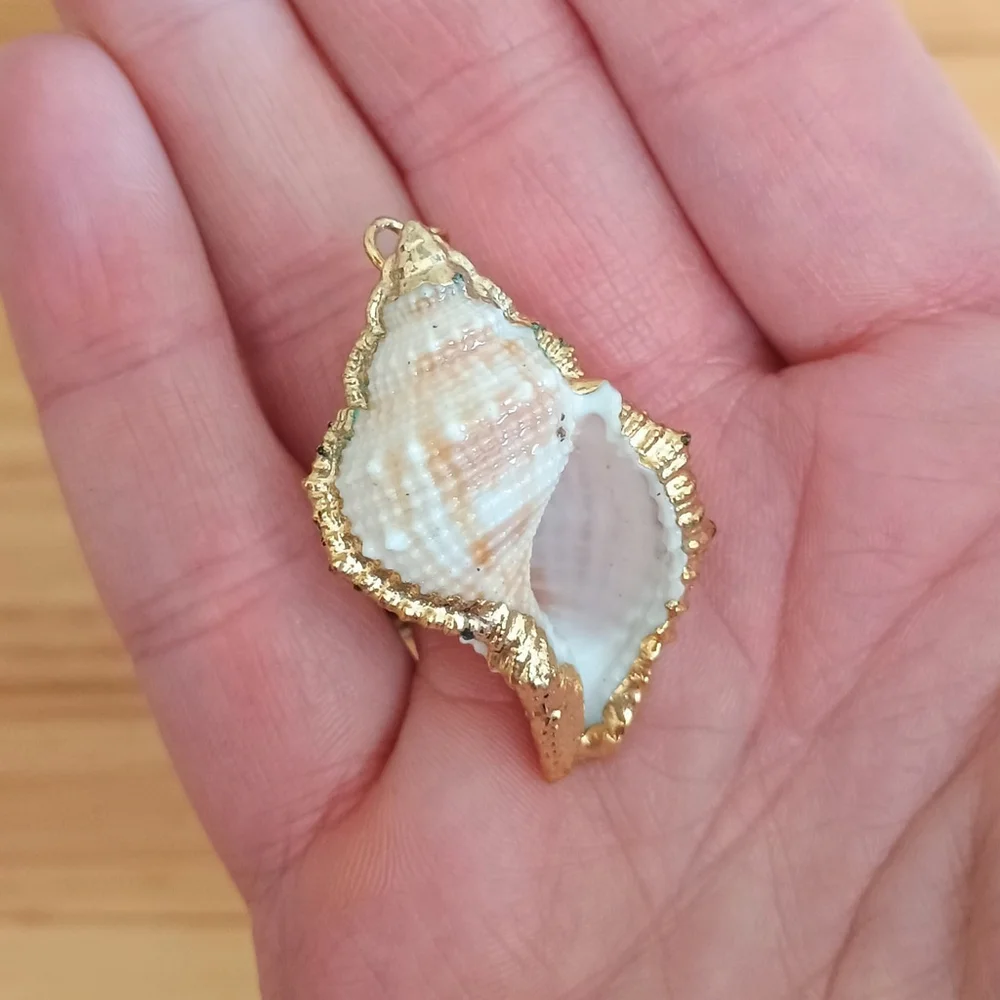 Natural Conch Seashell Pendant Gold Accented Nautical Ocean - Picture 2 of 6